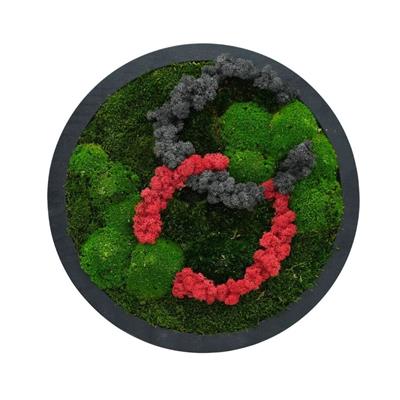 Duvar Bahçe Aranjman - Yaşayan Duvar Bitkileri