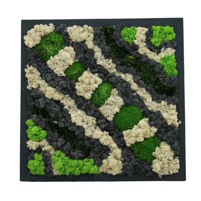 Duvar Bahçe Aranjman - Yaşayan Duvar Bitkileri