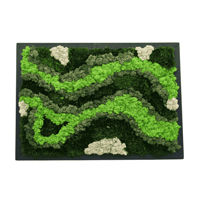 Duvar Bahçe Aranjman - Yaşayan Duvar Bitkileri