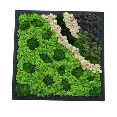 Duvar Bahçe Aranjman - Yaşayan Duvar Bitkileri