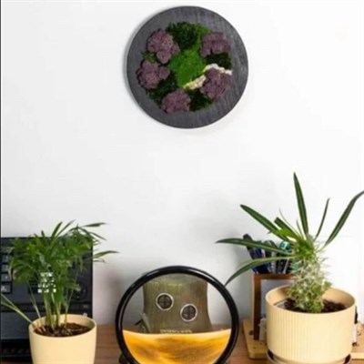 Duvar Bahçe Aranjman - Yaşayan Duvar Bitkileri 5