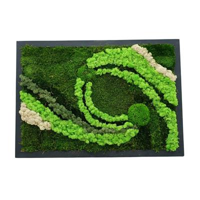 Duvar Bahçe Aranjman - Yaşayan Duvar Bitkileri