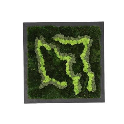 Duvar Bahçe Aranjman - Yaşayan Duvar Bitkileri 10