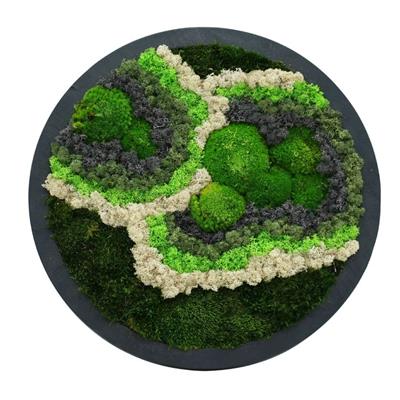 Duvar Bahçe Aranjman - Yaşayan Duvar Bitkileri