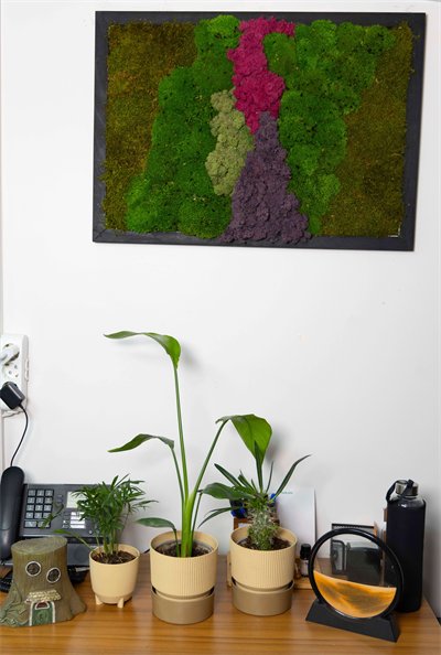 Duvar Bahçe Aranjman - Yaşayan Duvar Bitkileri 14