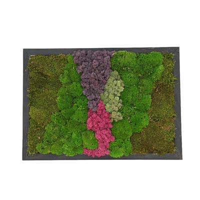 Duvar Bahçe Aranjman - Yaşayan Duvar Bitkileri 14