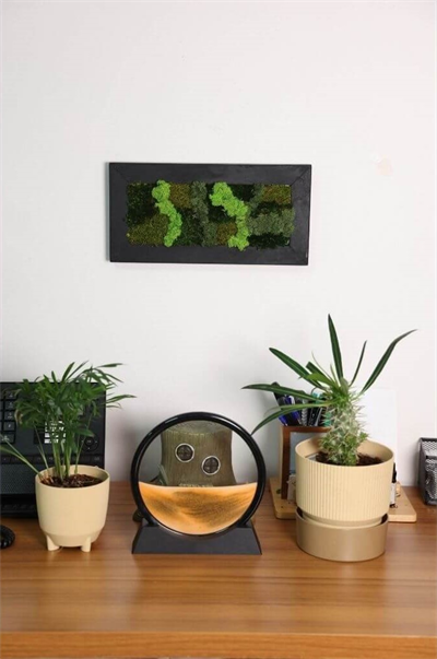 Duvar Bahçe Aranjman - Yaşayan Duvar Bitkileri 3