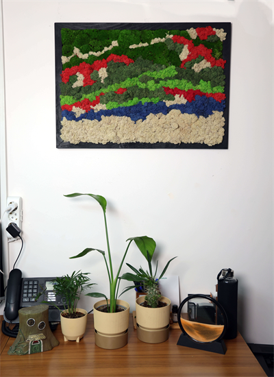 Duvar Bahçe Aranjman - Yaşayan Duvar Bitkileri