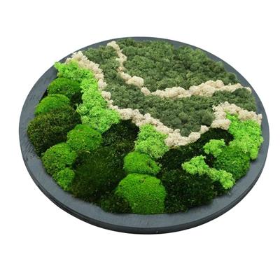 Duvar Bahçe Aranjman - Yaşayan Duvar Bitkileri