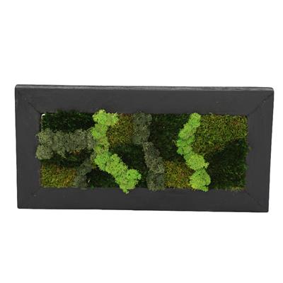 Duvar Bahçe Aranjman - Yaşayan Duvar Bitkileri 3