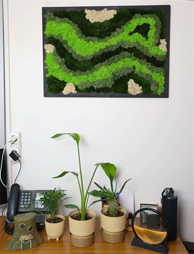 Duvar Bahçe Aranjman - Yaşayan Duvar Bitkileri