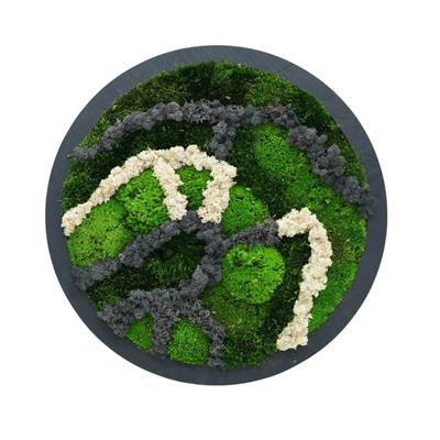 Duvar Bahçe Aranjman - Yaşayan Duvar Bitkileri