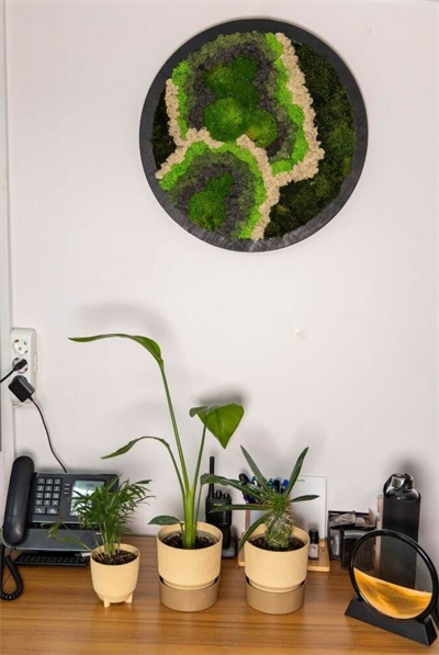 Duvar Bahçe Aranjman - Yaşayan Duvar Bitkileri