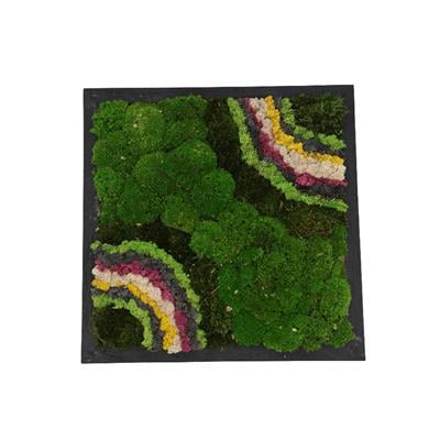 Duvar Bahçe Aranjman - Yaşayan Duvar Bitkileri 4