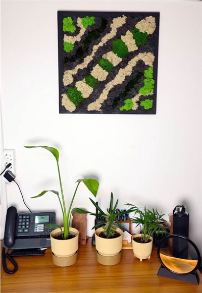 Duvar Bahçe Aranjman - Yaşayan Duvar Bitkileri