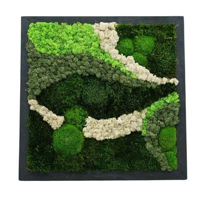 Duvar Bahçe Aranjman - Yaşayan Duvar Bitkileri