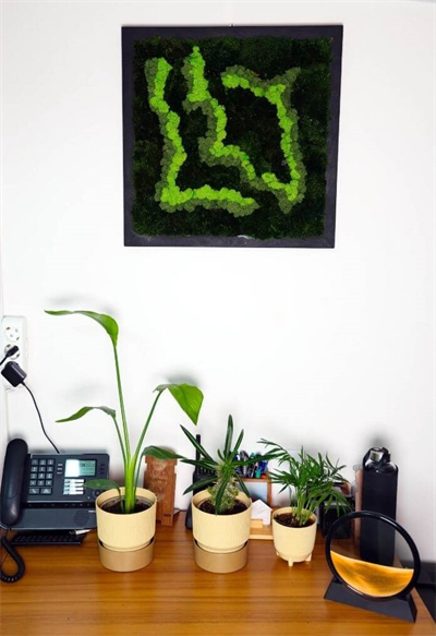 Duvar Bahçe Aranjman - Yaşayan Duvar Bitkileri 10