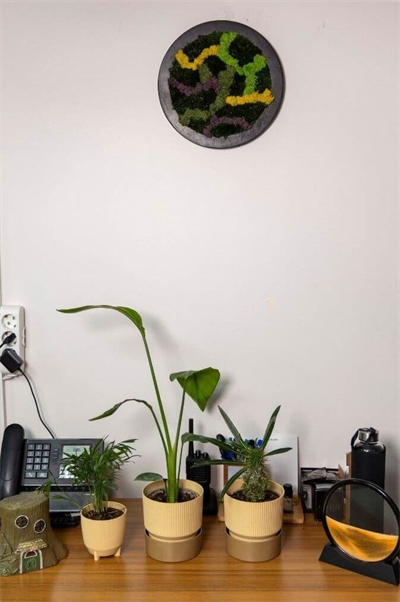 Duvar Bahçe Aranjman - Yaşayan Duvar Bitkileri 6