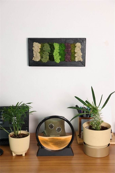 Duvar Bahçe Aranjman - Yaşayan Duvar Bitkileri 2