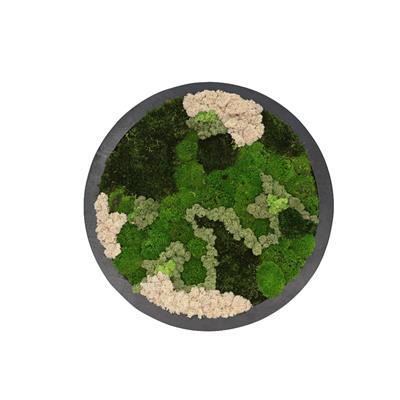 Duvar Bahçe Aranjman - Yaşayan Duvar Bitkileri 15