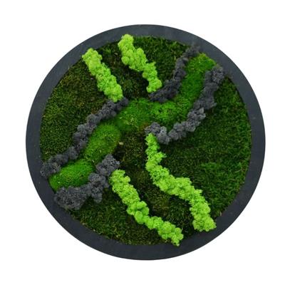 Duvar Bahçe Aranjman - Yaşayan Duvar Bitkileri