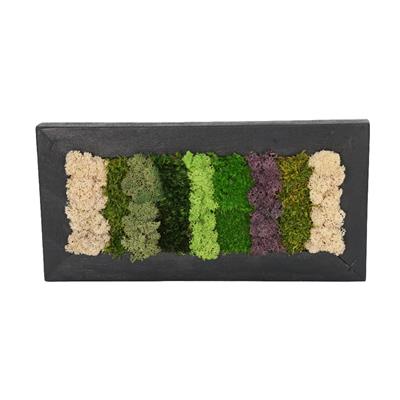 Duvar Bahçe Aranjman - Yaşayan Duvar Bitkileri 2