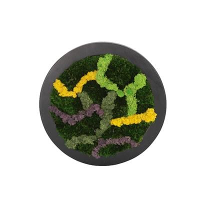 Duvar Bahçe Aranjman - Yaşayan Duvar Bitkileri 6