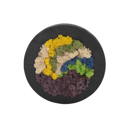 Duvar Bahçe Aranjman - Yaşayan Duvar Bitkileri 7