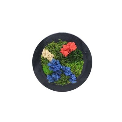 Duvar Bahçe Aranjman  - Yaşayan Duvar Bitkileri