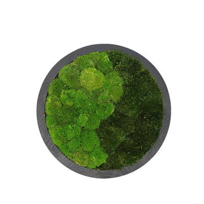 Duvar Bahçe Aranjman - Yaşayan Duvar Bitkileri 8