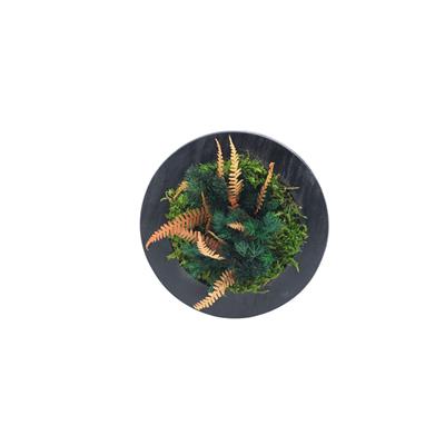 Duvar Bahçe Aranjman  - Yaşayan Duvar Bitkileri