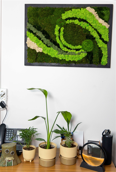 Duvar Bahçe Aranjman - Yaşayan Duvar Bitkileri