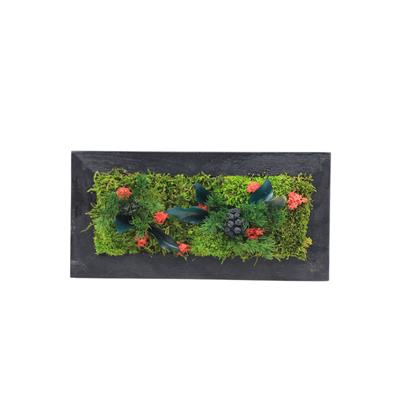 Duvar Bahçe Aranjman  - Yaşayan Duvar Bitkileri