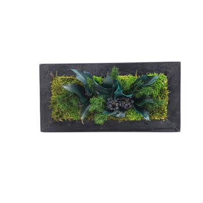 Duvar Bahçe Aranjman  - Yaşayan Duvar Bitkileri