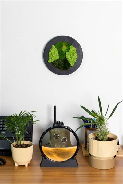 Duvar Bahçe Aranjman - Yaşayan Duvar Bitkileri 12