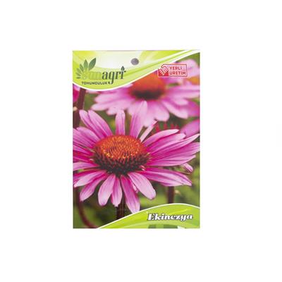 Sunagri Ekinezya Çiçek Tohumu