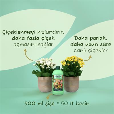 Genta Çiçekli Bitki ve Sardunya için Sıvı Besin (500 Ml)