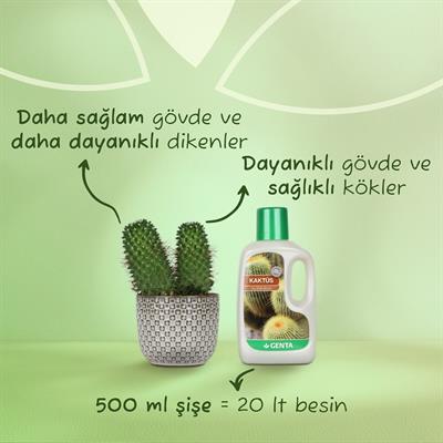 Genta Kaktüsler için Sıvı Besin (500 Ml)