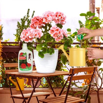 Genta Sardunyalar için Sıvı Besin (500 Ml)