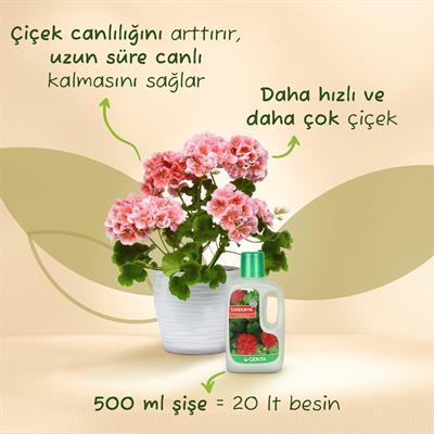 Genta Sardunyalar için Sıvı Besin (500 Ml)