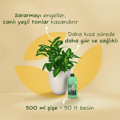 Genta Yeşil Yapraklı Bitkiler için Sıvı Besin (500 Ml) Yüksek Etkili