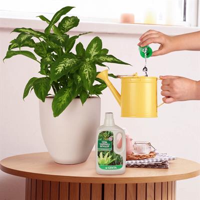 Genta Yeşil Yapraklı Bitkiler için Sıvı Besin (500 Ml)