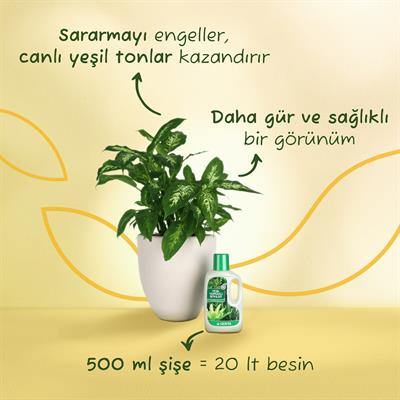 Genta Yeşil Yapraklı Bitkiler için Sıvı Besin (500 Ml)