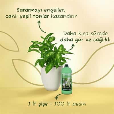 Genta Yeşil Yapraklı Bitkiler İçin Sıvı Besin (1 Lt)
