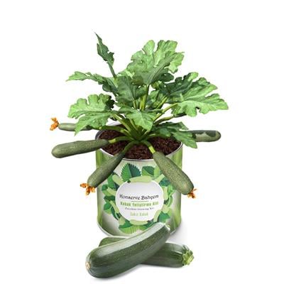 Konserve Bahçem Sakız Kabak Yetiştirme Kiti