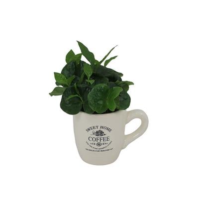 Kahve Çiçeği Bardaklı Yeşil