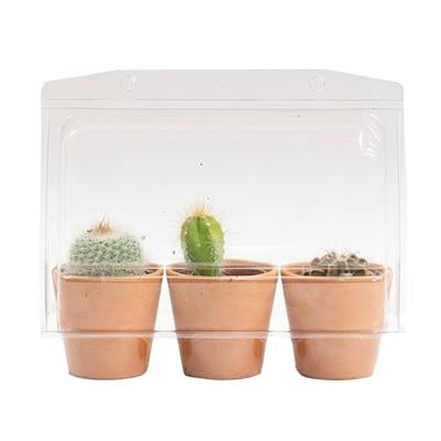 Kaktüs 3 lü Set 5-10 CM