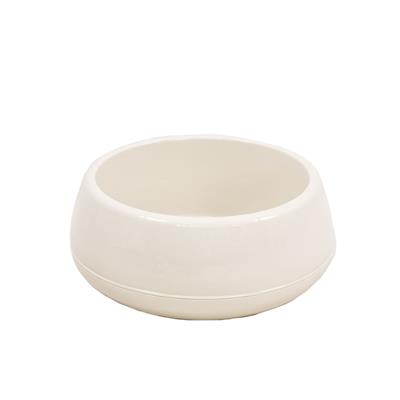 Kaktüs Arajman Saksı  No:2 2 Lt