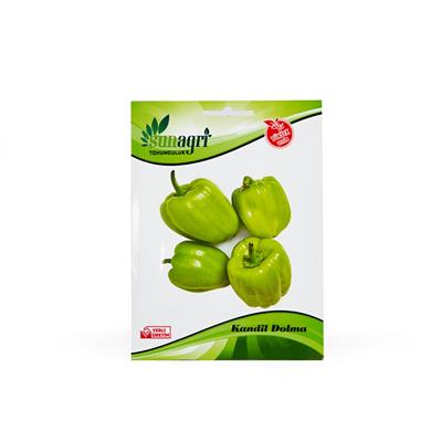 Kandil Dolma Biber Tohumu