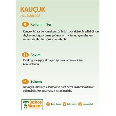Kauçuk Tekli Yeşil